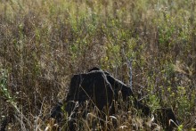 Гора Бык и исчезнувший хутор Быковчик на Северском Донце