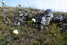 Гора Бык и исчезнувший хутор Быковчик на Северском Донце