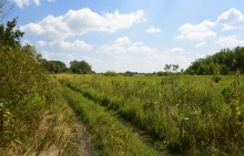 Путешествие по ерикам Караич, Скупому и Золотому, вокруг озера Сундук, в займище между рекой Аксай и Доном