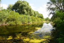 Путешествие по ерикам Караич, Скупому и Золотому, вокруг озера Сундук, в займище между рекой Аксай и Доном