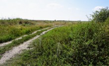 Путешествие по ерикам Караич, Скупому и Золотому, вокруг озера Сундук, в займище между рекой Аксай и Доном