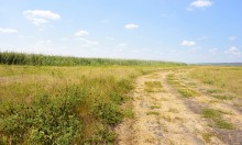 Путешествие по ерикам Караич, Скупому и Золотому, вокруг озера Сундук, в займище между рекой Аксай и Доном