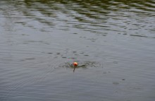 Путешествие по ерикам Караич, Скупому и Золотому, вокруг озера Сундук, в займище между рекой Аксай и Доном