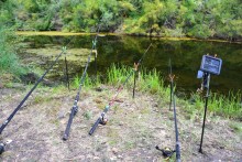 Путешествие по ерикам Караич, Скупому и Золотому, вокруг озера Сундук, в займище между рекой Аксай и Доном