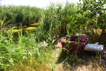 Путешествие по ерикам Караич, Скупому и Золотому, вокруг озера Сундук, в займище между рекой Аксай и Доном