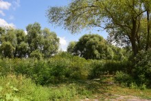 Путешествие по ерикам Караич, Скупому и Золотому, вокруг озера Сундук, в займище между рекой Аксай и Доном