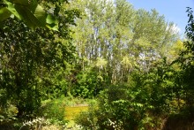 Путешествие по ерикам Караич, Скупому и Золотому, вокруг озера Сундук, в займище между рекой Аксай и Доном