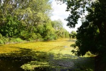 Путешествие по ерикам Караич, Скупому и Золотому, вокруг озера Сундук, в займище между рекой Аксай и Доном