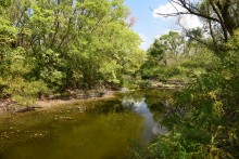 Путешествие по ерикам Караич, Скупому и Золотому, вокруг озера Сундук, в займище между рекой Аксай и Доном