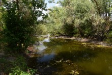 Путешествие по ерикам Караич, Скупому и Золотому, вокруг озера Сундук, в займище между рекой Аксай и Доном