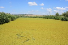 Путешествие по ерикам Караич, Скупому и Золотому, вокруг озера Сундук, в займище между рекой Аксай и Доном