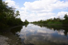 Путешествие по ерикам Караич, Скупому и Золотому, вокруг озера Сундук, в займище между рекой Аксай и Доном