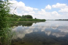 Путешествие по ерикам Караич, Скупому и Золотому, вокруг озера Сундук, в займище между рекой Аксай и Доном