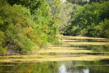 Путешествие по ерикам Караич, Скупому и Золотому, вокруг озера Сундук, в займище между рекой Аксай и Доном