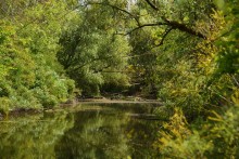 Путешествие по ерикам Караич, Скупому и Золотому, вокруг озера Сундук, в займище между рекой Аксай и Доном