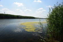 Путешествие по ерикам Караич, Скупому и Золотому, вокруг озера Сундук, в займище между рекой Аксай и Доном