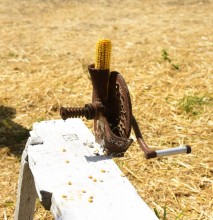 Хутор Фест - фестиваль сельского туризма и гастрономии