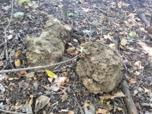  Бахмутский шлях в Ростовской области у реки Тузлов и села Греково-Ульяновка