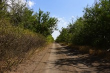  Бахмутский шлях в Ростовской области у реки Тузлов и села Греково-Ульяновка