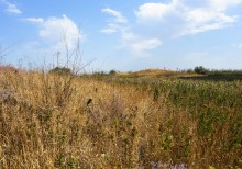  Бахмутский шлях в Ростовской области у реки Тузлов и села Греково-Ульяновка