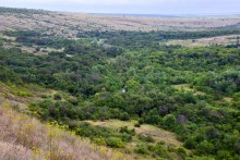 Мельница - электростанция на реке Быстрой