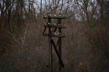 Мельница - электростанция на реке Быстрой