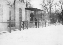 История ростовского Зоопарка