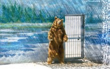 История ростовского Зоопарка