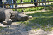 История ростовского Зоопарка