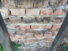 История ростовского Зоопарка