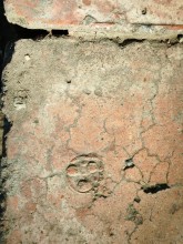 История ростовского Зоопарка