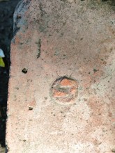 История ростовского Зоопарка