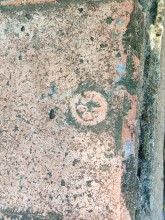 История ростовского Зоопарка