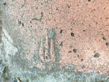 История ростовского Зоопарка