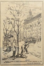 Жильё ростовчанам, Вечёрка 1959