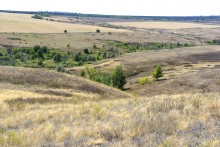 Хутор Павлов в балке Большая Мамонтова