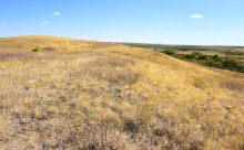 Хутор Павлов в балке Большая Мамонтова