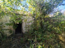 Хутор Павлов в балке Большая Мамонтова