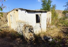 Хутор Павлов в балке Большая Мамонтова