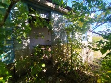 Хутор Павлов в балке Большая Мамонтова