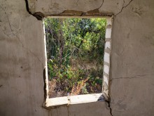 Хутор Павлов в балке Большая Мамонтова