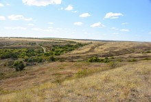 Хутор Павлов в балке Большая Мамонтова