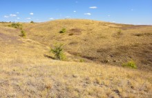 Хутор Павлов в балке Большая Мамонтова