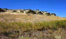 Хутор Павлов в балке Большая Мамонтова