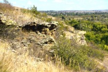 Хутор Павлов в балке Большая Мамонтова