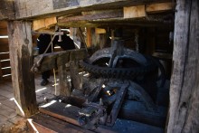 "Осенины" в "Затерянном мире"