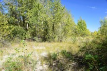 Урочище "Церковный рынок" на Дону у станицы Кочетовской