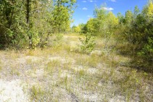 Урочище "Церковный рынок" на Дону у станицы Кочетовской