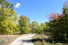 Урочище "Церковный рынок" на Дону у станицы Кочетовской