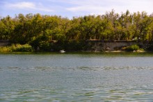 Урочище "Церковный рынок" на Дону у станицы Кочетовской